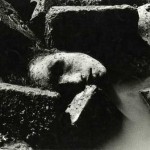 Dismembered head at killing fields of Rayerbazaar. Photo: Rashid Talukder