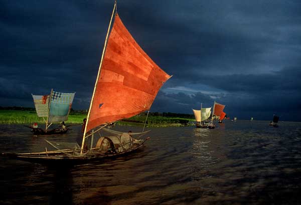 The only fish that matters ? Shahidul Alam's shot of ilish fishing on the river Brahmaputra, Bangladesh. Photograph: Shahidul Alam/Drik/Majority World