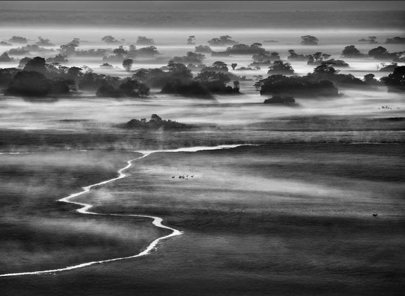 Zambia, 2010 A view from a balloon in the Kafue National park. As the dawn breaks, the water in lakes and small rivers, still warm from the previous day?s sun, vaporizes and condenses to form strange and beautiful fog banks.