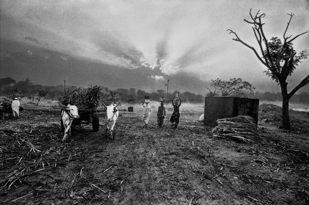 Women in Aurungabad, Maharashtra, fetch drinking water from afar in the early hours of the morning. Effluent from sugar cane factories have polluted local waterbodies making the water undrinkable. The workers are migrants from Rajasthan, who work as bonded labourers. Women in Aurungabad, Maharashtra, fetch drinking water from afar in the early hours of the morning. Effluent from sugar cane factories have polluted local waterbodies making the water undrinkable. The workers are migrants from Rajasthan, who work as bonded labourers. Women in Aurungabad, Maharashtra, fetch drinking water from afar in the early hours of the morning. Effluent from sugar cane factories have polluted local waterbodies making the water undrinkable. The workers are migrants from Rajasthan, who work as bonded labourers. ? Shahidul Alam/Drik/Majority World